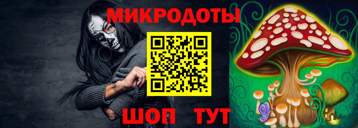 Галлюциногенные грибы MAGIC MUSHROOMS Прохладный