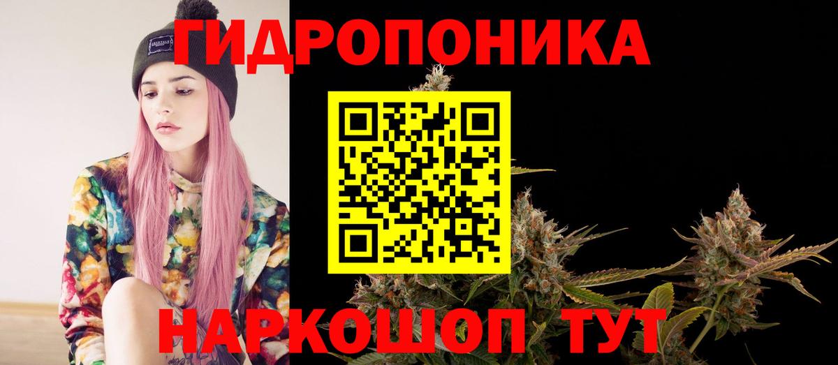 Бошки Шишки марихуана  Марихуана гибрид  Прохладный  Вход с VPN 